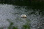 img_1469